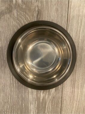 Stainless Steel Pet Bowl with Non-Slip Black Rim